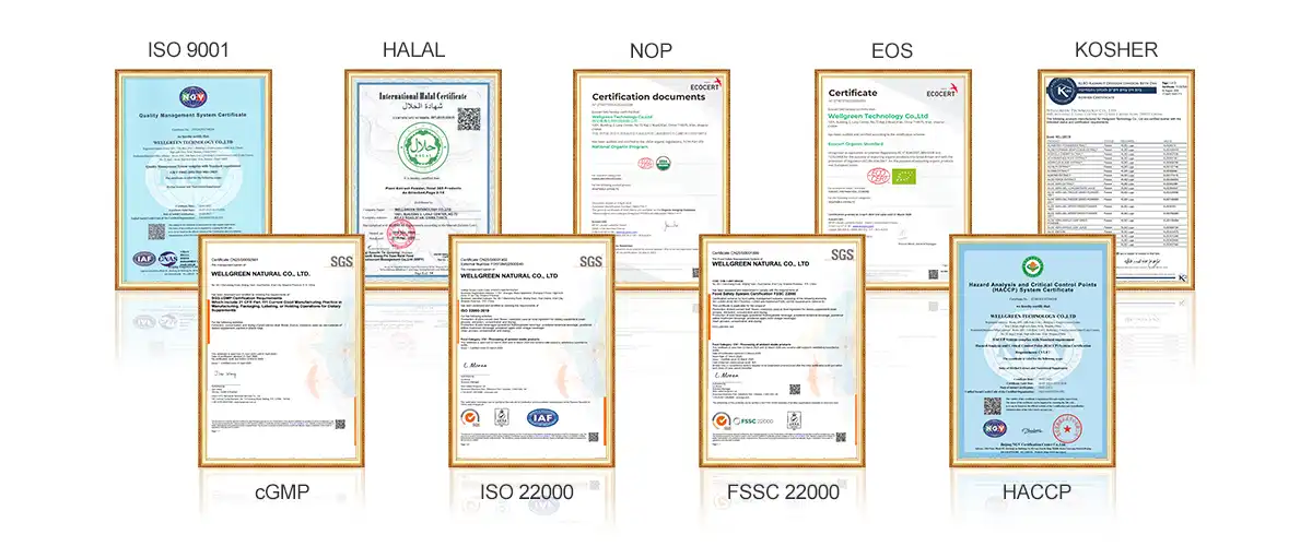 Quality Assurance.jpg Quality Assurance.jpg